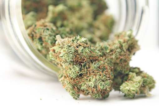 Best Marijuana Dispensaries in Rhode Island!